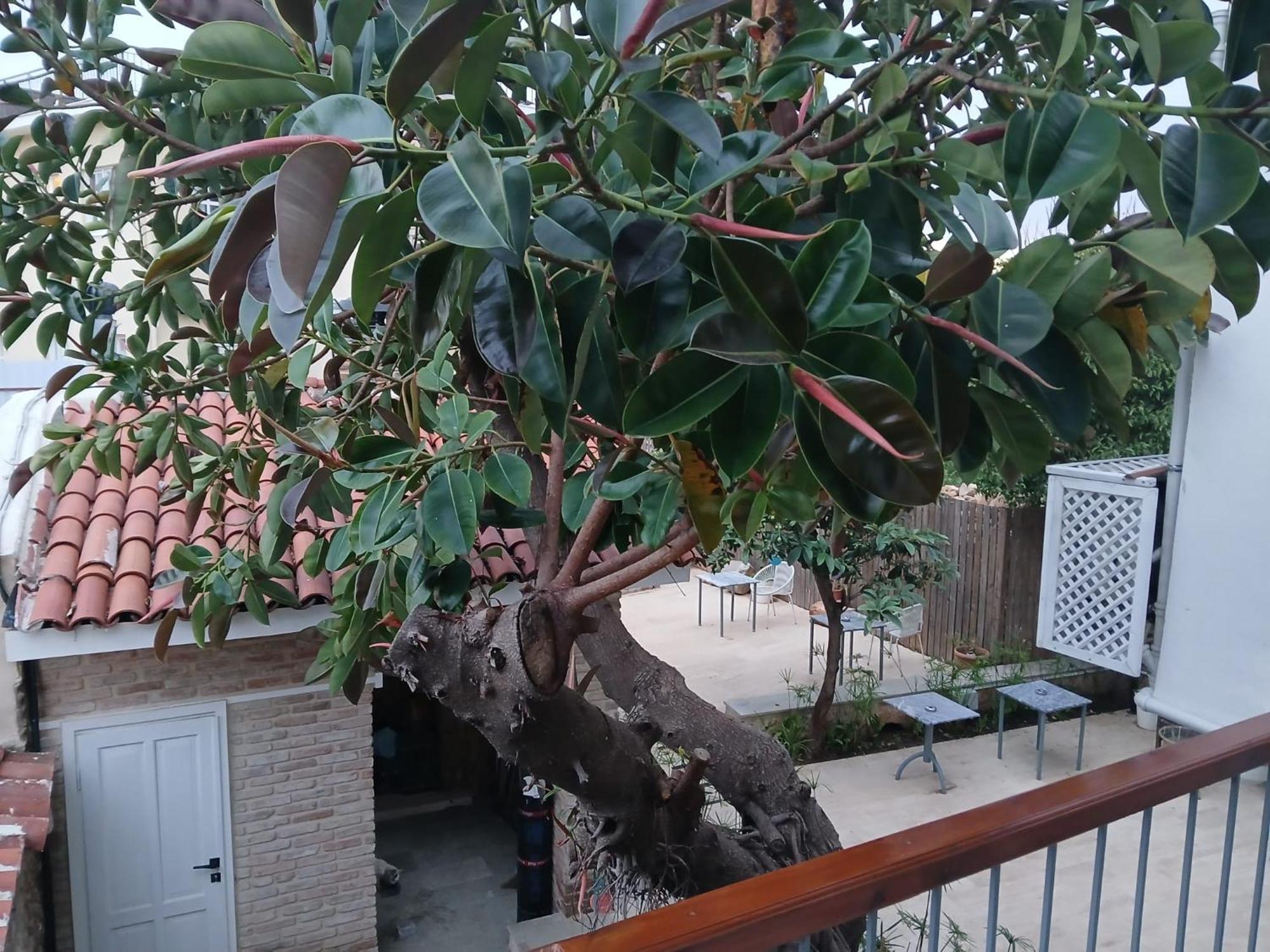 House Of Good Things Hotel Antalya Buitenkant foto